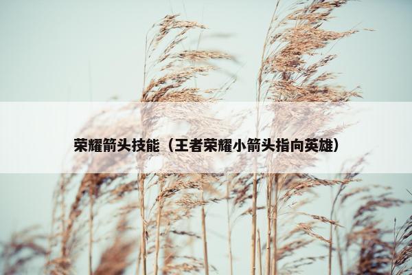 荣耀箭头技能（王者荣耀小箭头指向英雄）