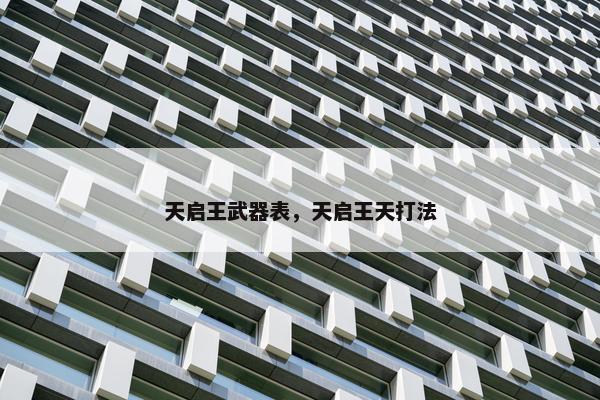 天启王武器表，天启王天打法