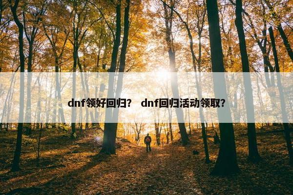 dnf领好回归？ dnf回归活动领取？