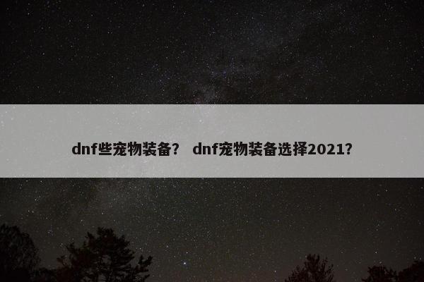 dnf些宠物装备？ dnf宠物装备选择2021？