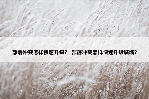 部落冲突怎样快速升级？ 部落冲突怎样快速升级城墙？
