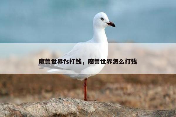 魔兽世界fs打钱，魔兽世界怎么打钱