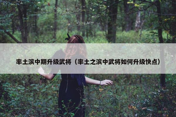 率土滨中期升级武将（率土之滨中武将如何升级快点）