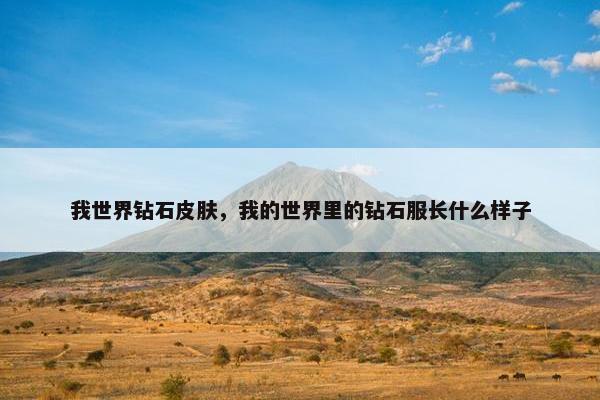 我世界钻石皮肤，我的世界里的钻石服长什么样子