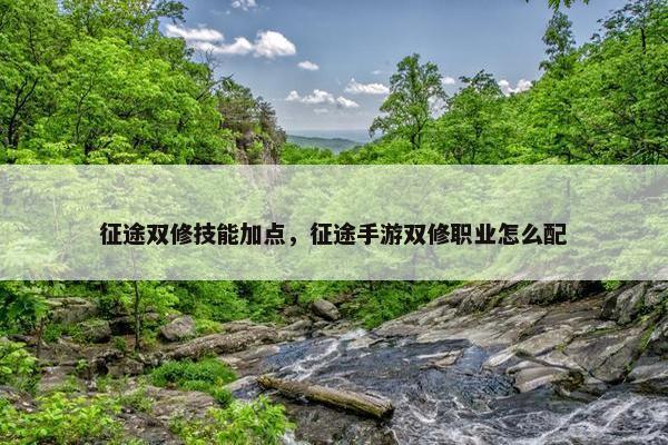 征途双修技能加点，征途手游双修职业怎么配