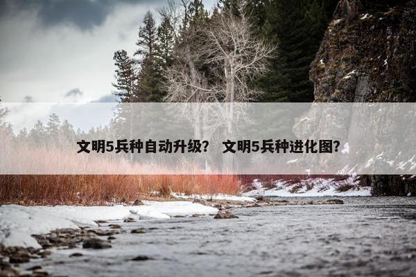 文明5兵种自动升级？ 文明5兵种进化图？