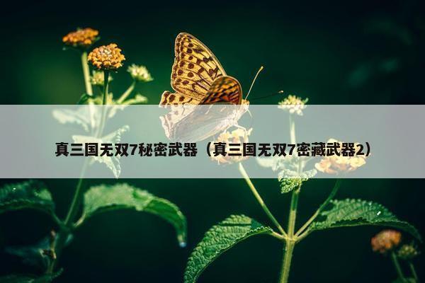 真三国无双7秘密武器（真三国无双7密藏武器2）