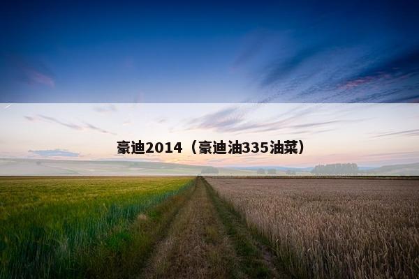 豪迪2014（豪迪油335油菜）