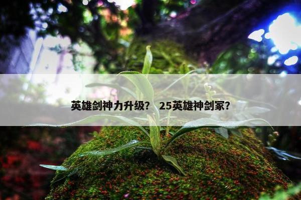 英雄剑神力升级？ 25英雄神剑冢？