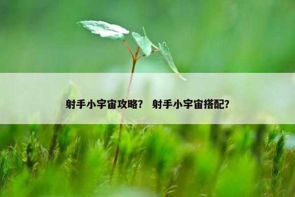 射手小宇宙攻略？ 射手小宇宙搭配？