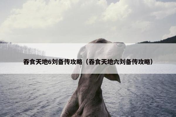吞食天地6刘备传攻略（吞食天地六刘备传攻略）