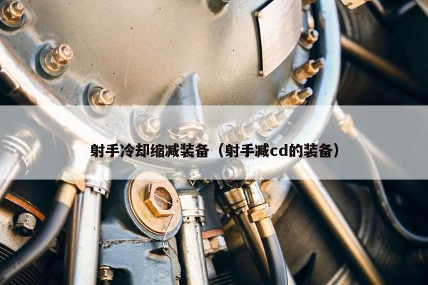 射手冷却缩减装备（射手减cd的装备）