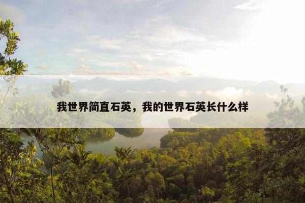 我世界简直石英，我的世界石英长什么样