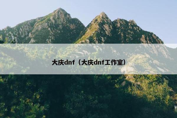 大庆dnf（大庆dnf工作室）