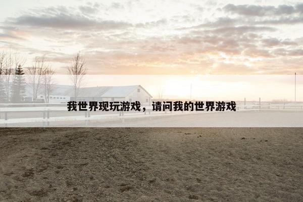 我世界现玩游戏，请问我的世界游戏