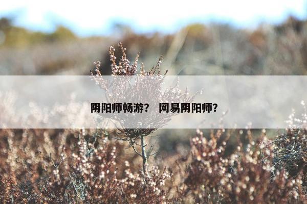阴阳师畅游？ 网易阴阳师？