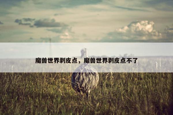 魔兽世界剥皮点，魔兽世界剥皮点不了