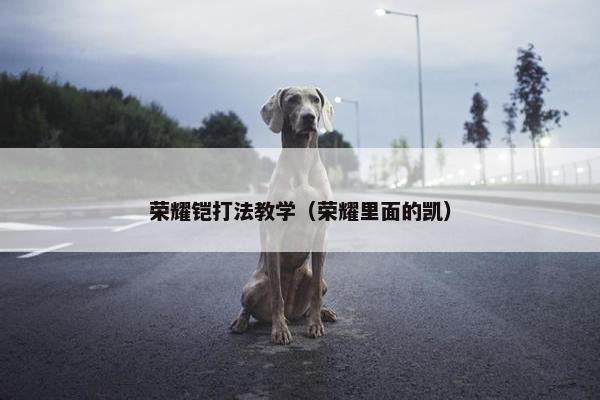 荣耀铠打法教学（荣耀里面的凯）