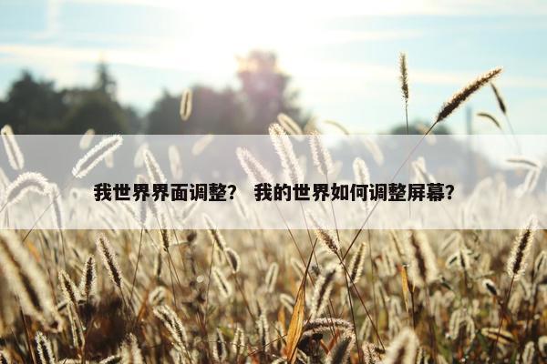 我世界界面调整？ 我的世界如何调整屏幕？