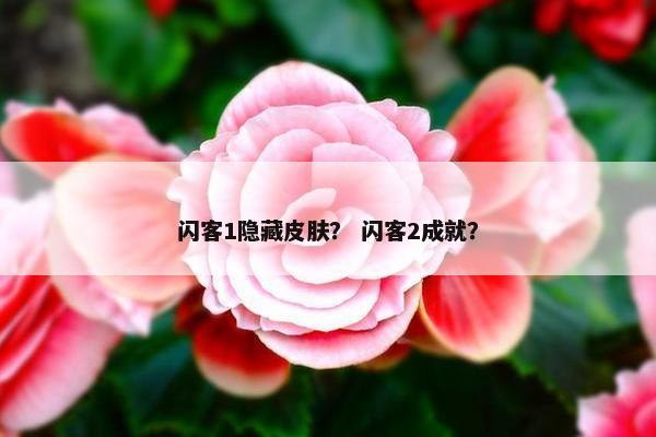 闪客1隐藏皮肤？ 闪客2成就？