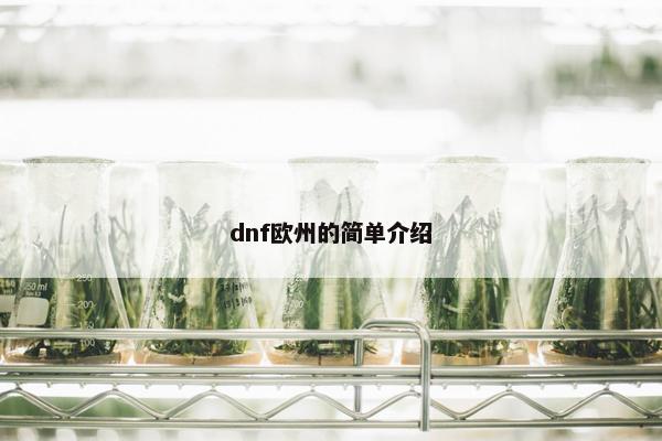 dnf欧州的简单介绍
