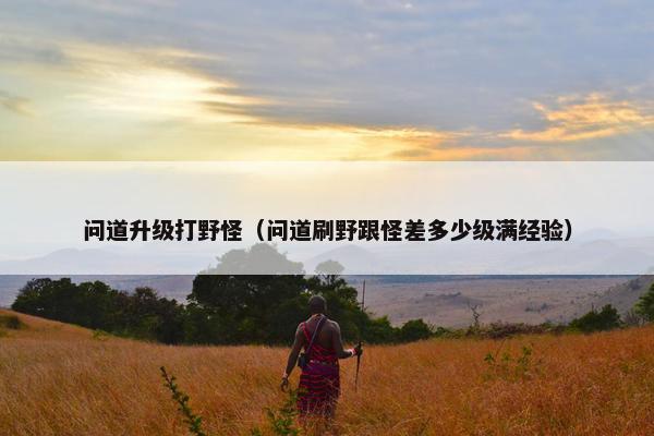 问道升级打野怪（问道刷野跟怪差多少级满经验）