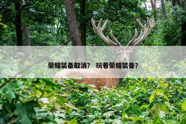 荣耀装备取消？ 玩着荣耀装备？