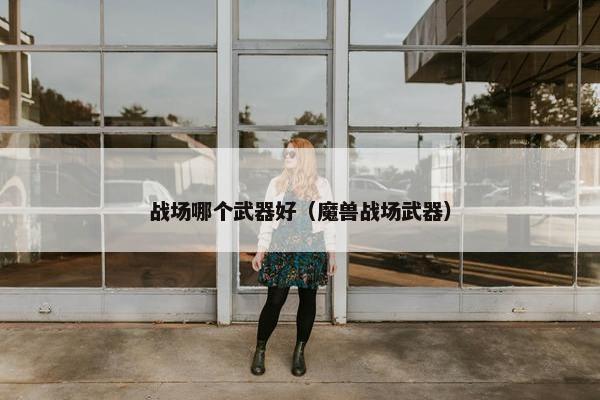 战场哪个武器好（魔兽战场武器）