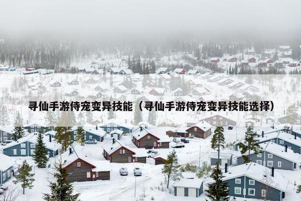 寻仙手游侍宠变异技能（寻仙手游侍宠变异技能选择）
