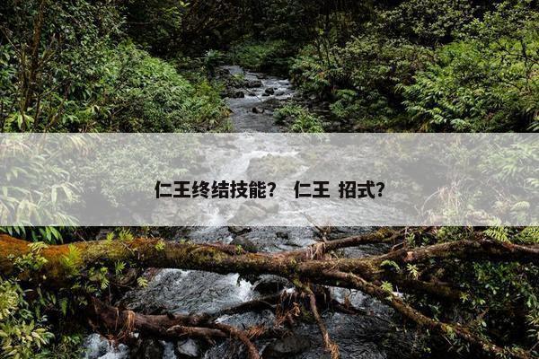 仁王终结技能？ 仁王 招式？