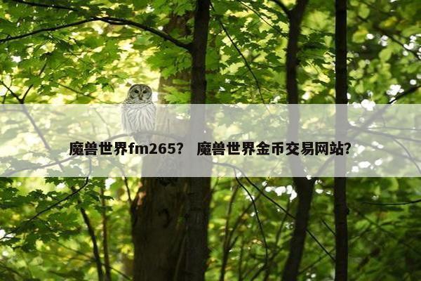 魔兽世界fm265？ 魔兽世界金币交易网站？