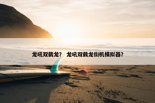 龙吼双截龙？ 龙吼双截龙街机模拟器？