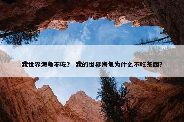 我世界海龟不吃？ 我的世界海龟为什么不吃东西？