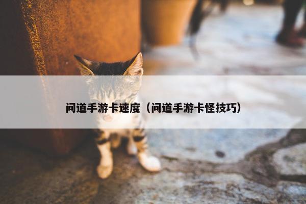 问道手游卡速度（问道手游卡怪技巧）