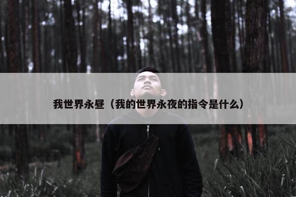 我世界永昼（我的世界永夜的指令是什么）