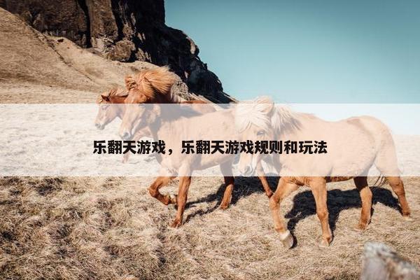 乐翻天游戏，乐翻天游戏规则和玩法