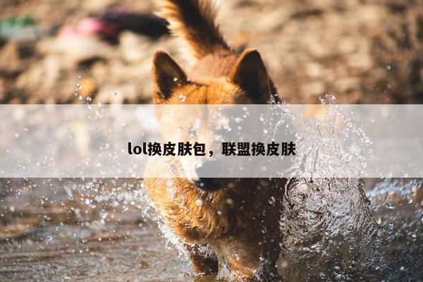 lol换皮肤包，联盟换皮肤