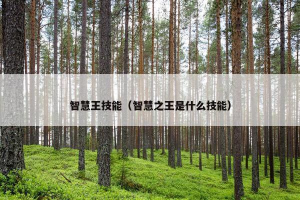 智慧王技能（智慧之王是什么技能）