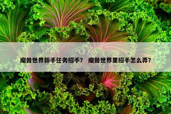 魔兽世界新手任务招手？ 魔兽世界里招手怎么弄？