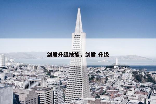 剑盾升级技能，剑盾 升级