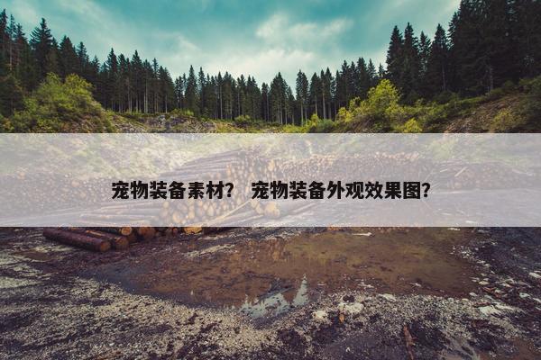 宠物装备素材？ 宠物装备外观效果图？