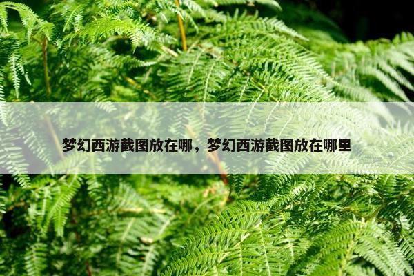 梦幻西游截图放在哪，梦幻西游截图放在哪里