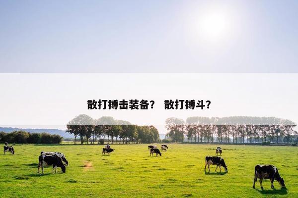 散打搏击装备？ 散打搏斗？