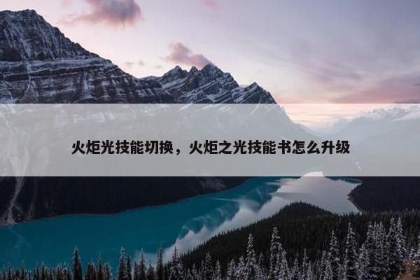 火炬光技能切换，火炬之光技能书怎么升级