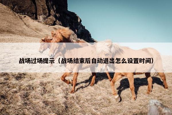战场过场提示（战场结束后自动退出怎么设置时间）