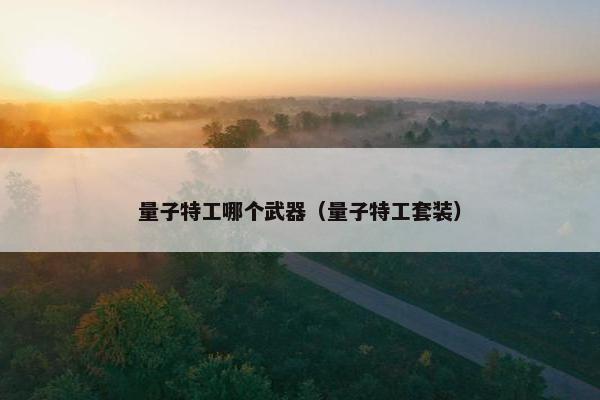 量子特工哪个武器（量子特工套装）