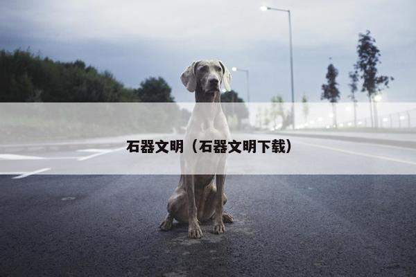 石器文明（石器文明下载）