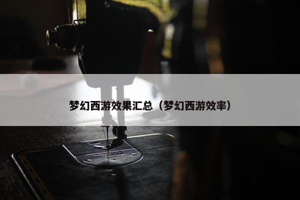 梦幻西游效果汇总（梦幻西游效率）