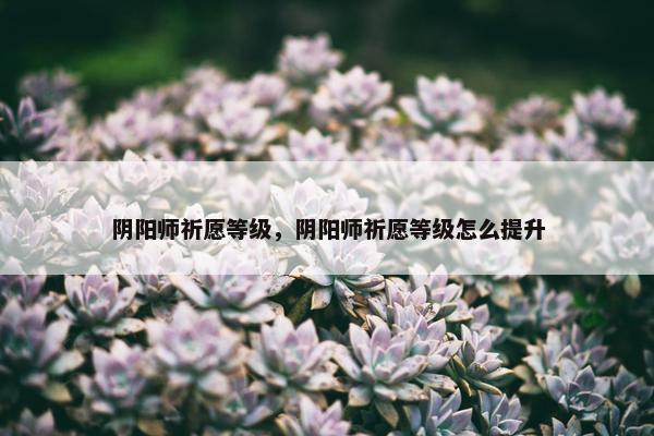 阴阳师祈愿等级，阴阳师祈愿等级怎么提升