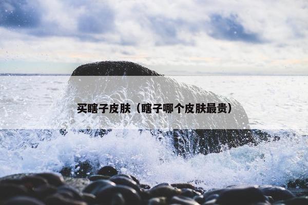 买瞎子皮肤（瞎子哪个皮肤最贵）